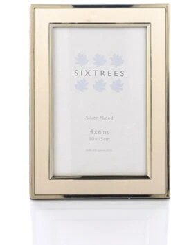 Sixtrees Abbey Photo Frames - Gold