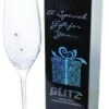 Dartington Glitz Champagne Flute 2 Dartington Glitz Champagne Flute -Haven Home Shop 23302 20066