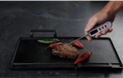 Taylor Pro LED Display Thermometer -Haven Home Shop 35942 14686