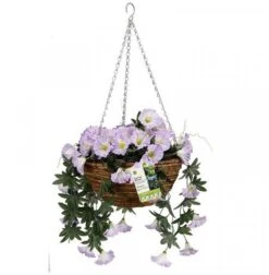 Smart Garden Easy Basket - Spring Bloom